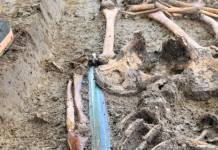 Stunning 3,000 Year Old Sword Found In Burial Site A 3,000 year old bronze sword found in Germany.