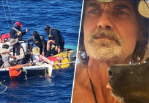 Man and His Dog Rescued After Months Lost At Sea Sailor Tim Shaddock and his dog Bella were rescused by the crew of a tuna trawler